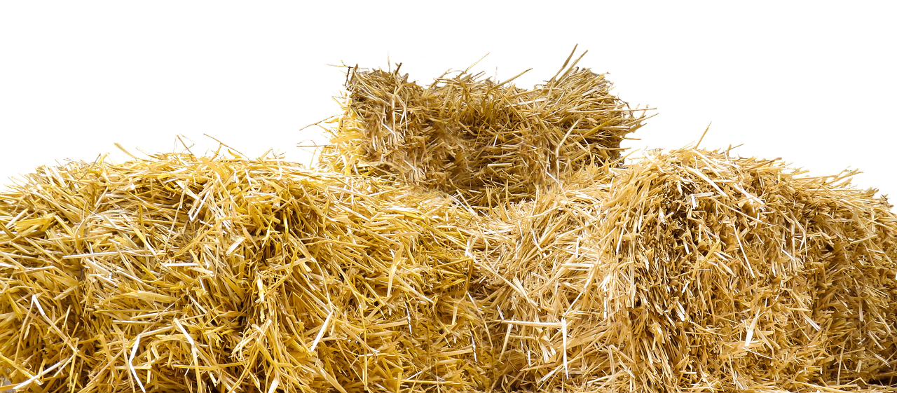 Top of straw bales. Hay clipart fodder