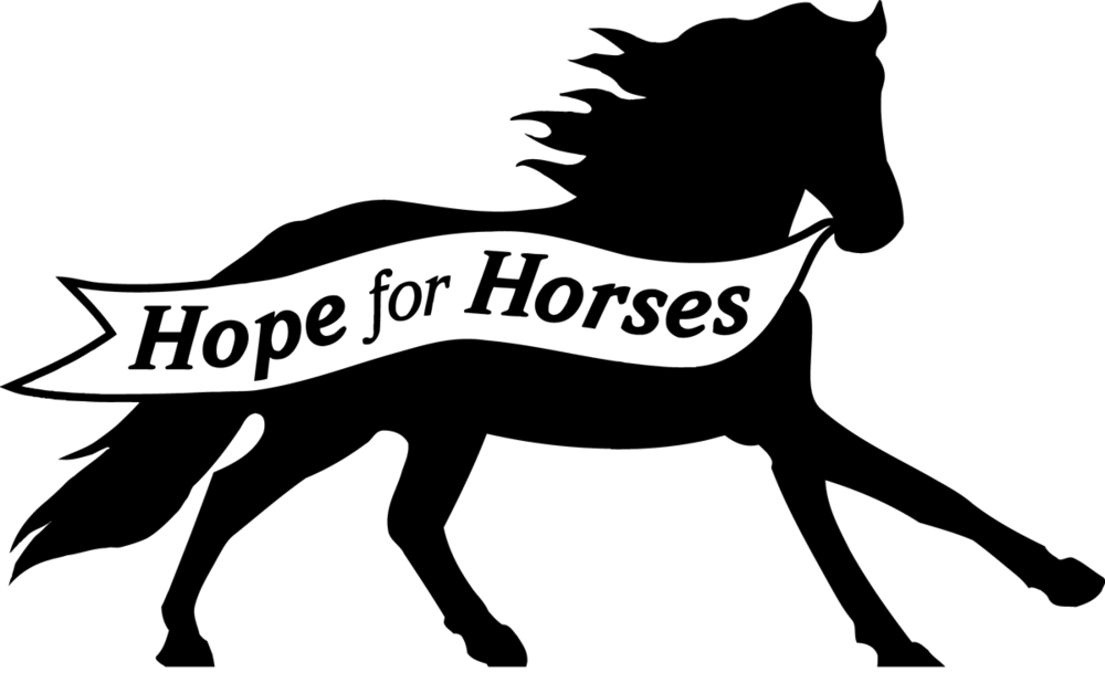 Hope for horses license. Hay clipart horse hay