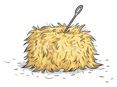 hay clipart needle in haystack