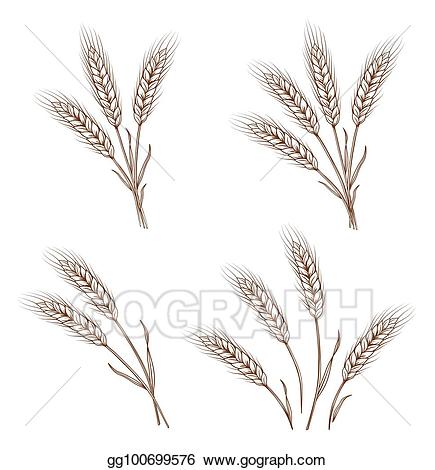 hay clipart sheaf wheat