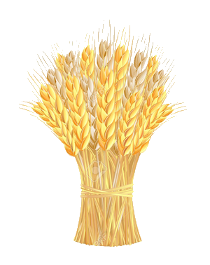 Wheat clipart hay. Png transparent azpng 