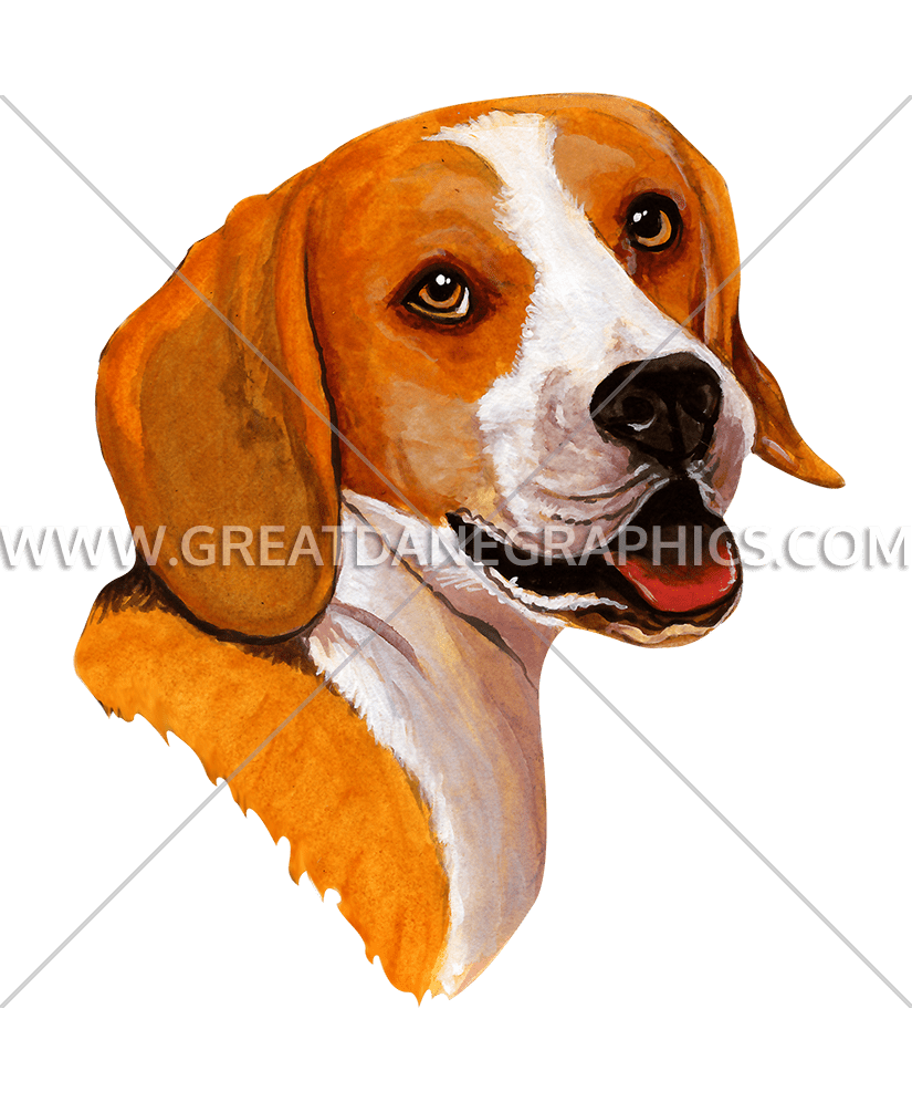 head clipart beagle