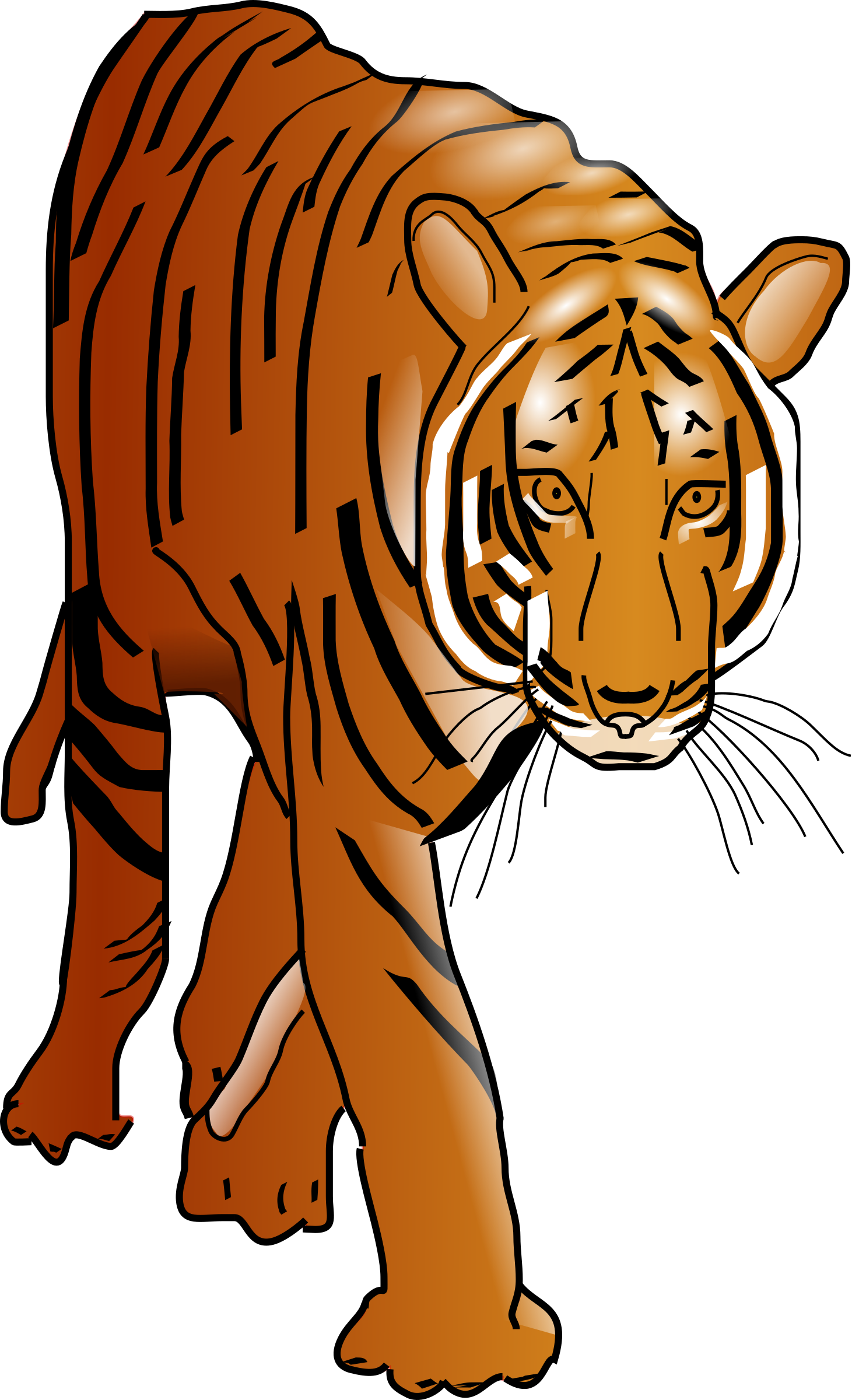 head clipart bengal tiger