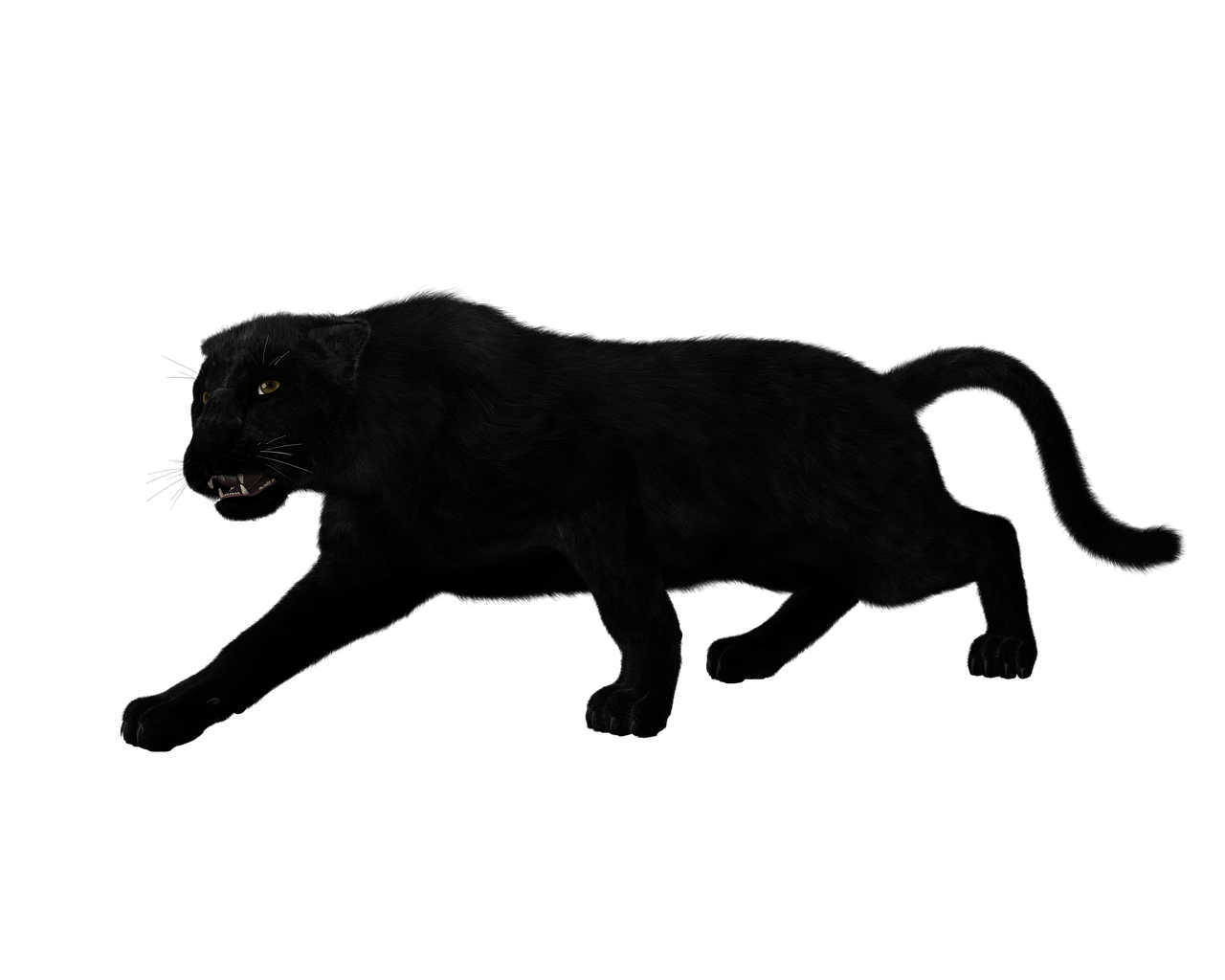panther clipart full