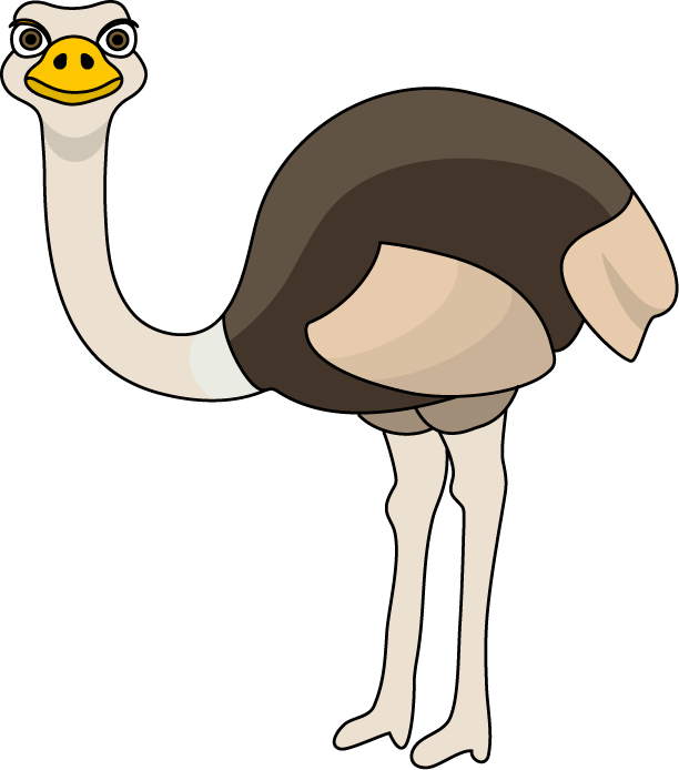 Ostrich clipart colour. Emu head free collection