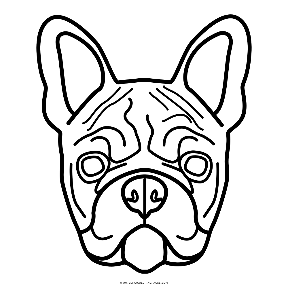 Head clipart french bulldog, Head french bulldog Transparent FREE for ...