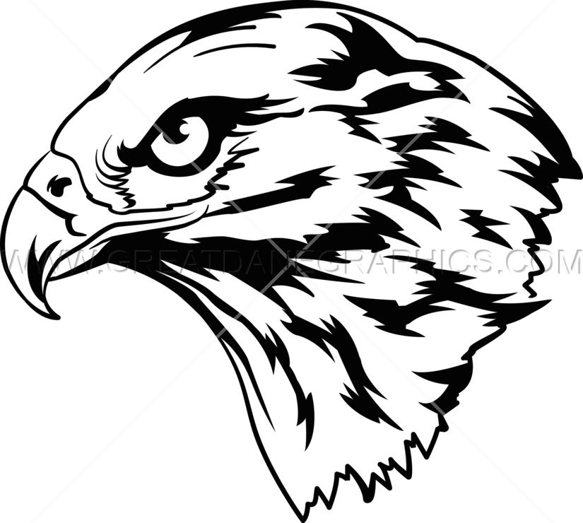 Head clipart hawk. Production ready artwork for