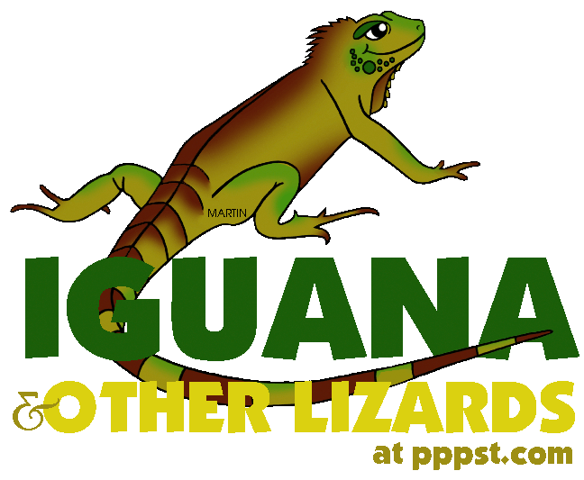 lizard clipart iguana