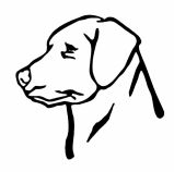 Head clipart labrador. Free cliparts download clip