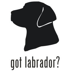 Free cliparts download clip. Head clipart labrador