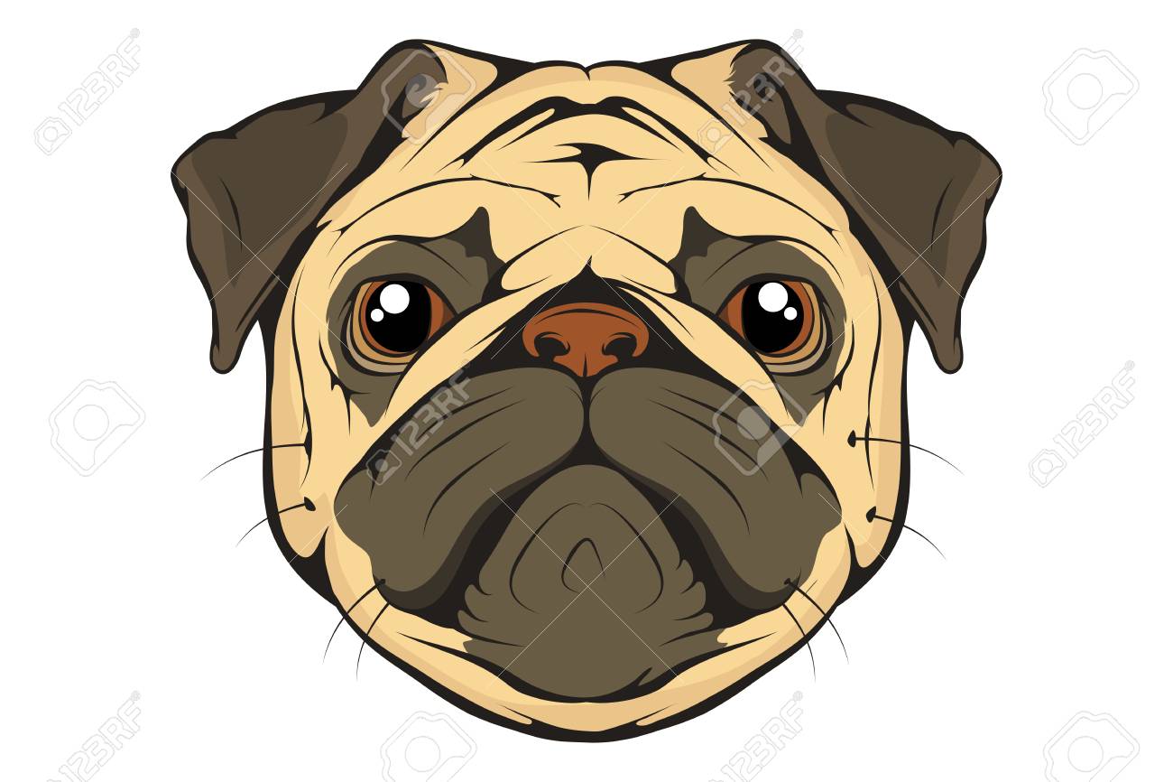 Head clipart pug, Picture #2801571 head clipart pug