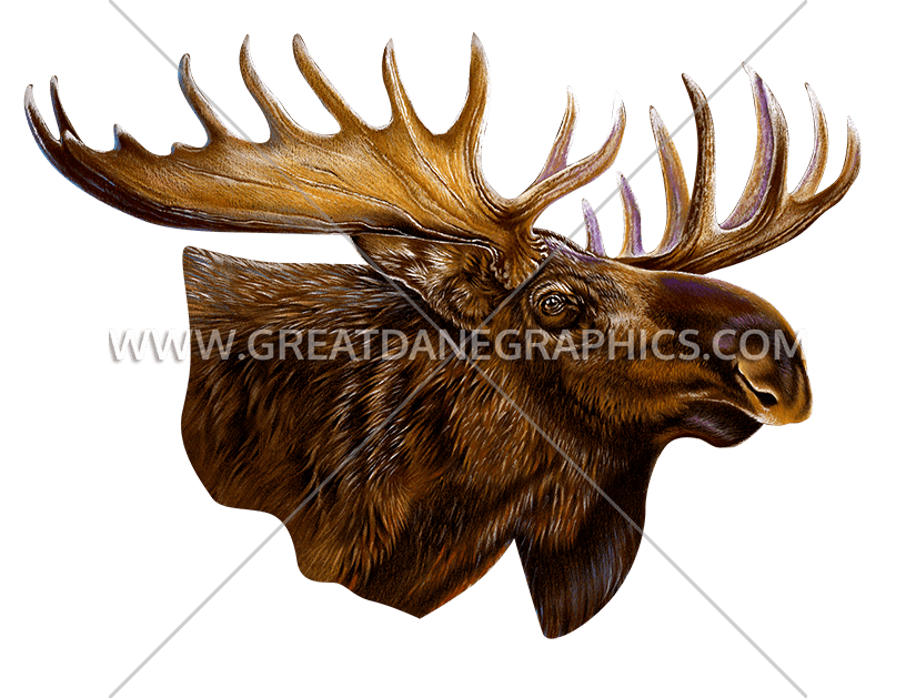 Moose production ready artwork. Head clipart pug