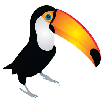 toucan clipart cartoon