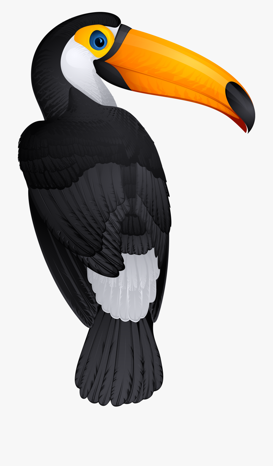 toucan clipart eagle