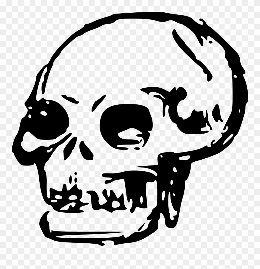 skeleton clipart skeleton head