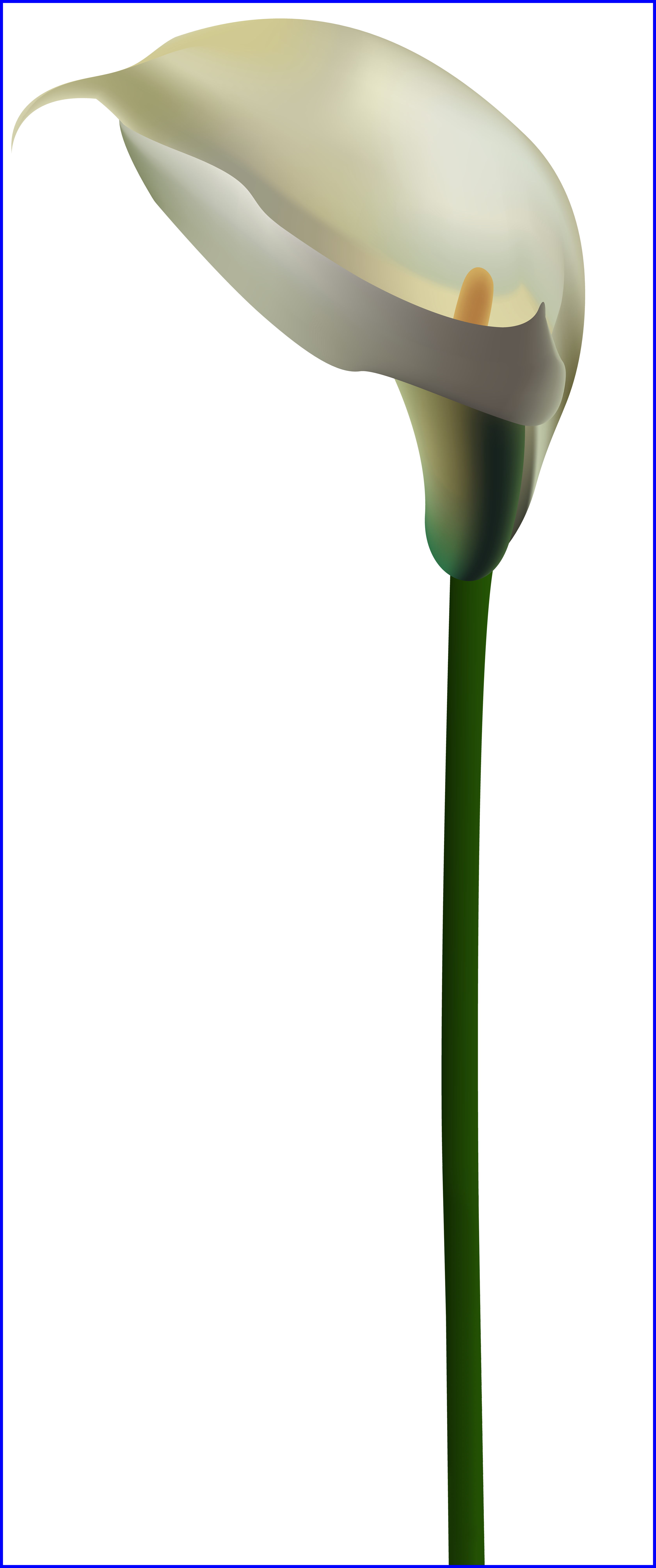 headstone clipart calla lily