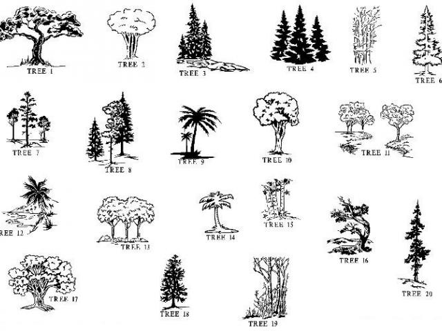 Headstone clipart tree life. Free download clip art