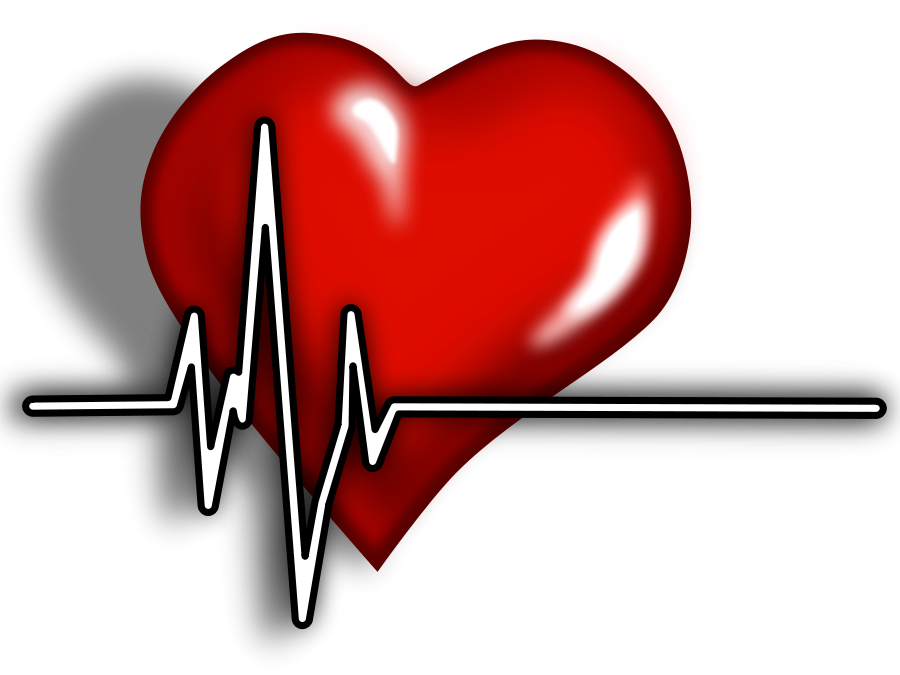 heartbeat clipart lifeline