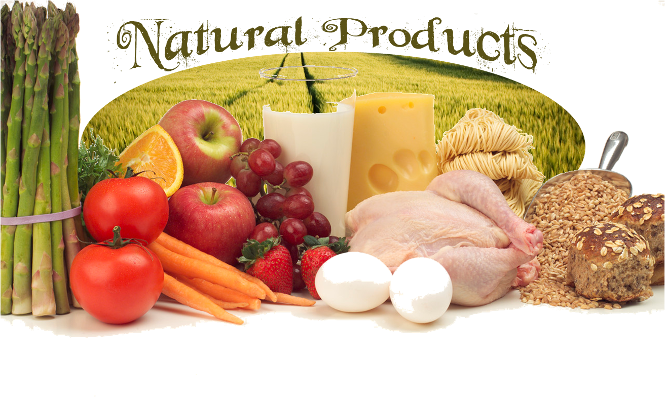 meal clipart medieval food