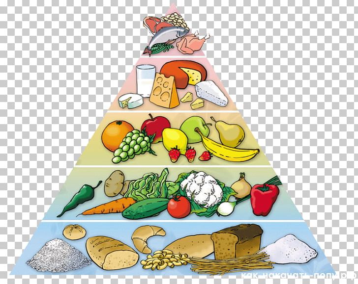 meal clipart food pyramid