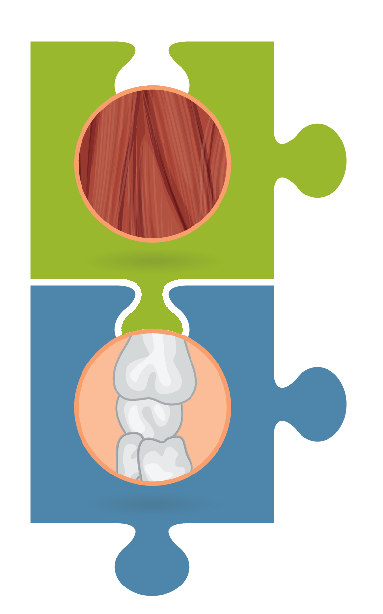 Natural health from head. Muscles clipart musculoskeletal system