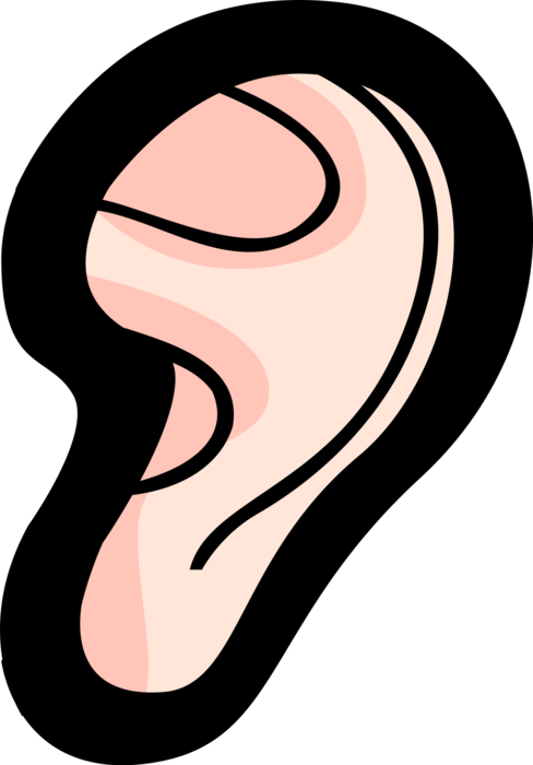 Hearing human ear