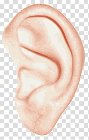 Hearing clipart pair ear. Left human illustration single