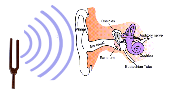 hearing clipart pitch sound