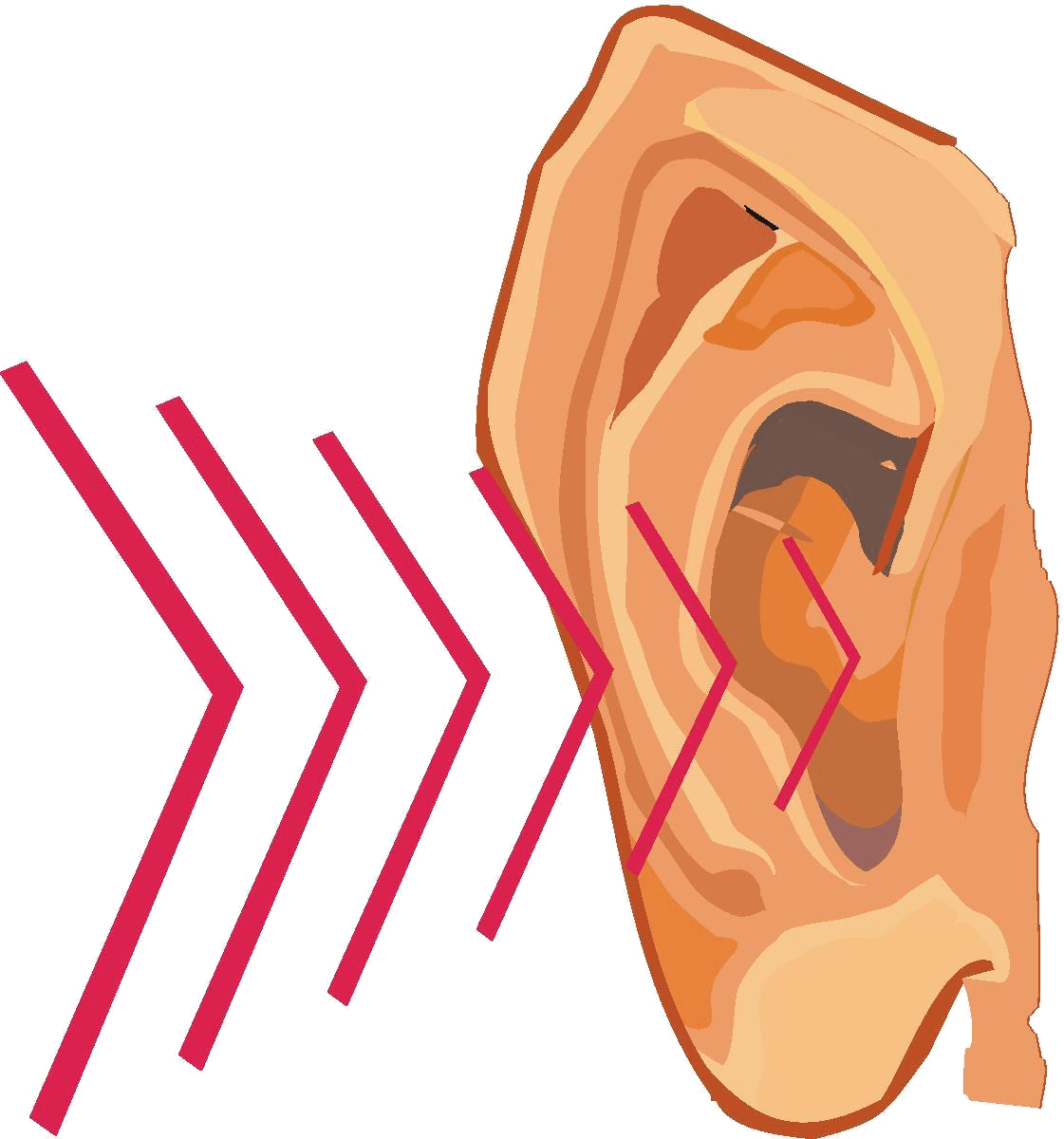 hearing clipart pitch sound