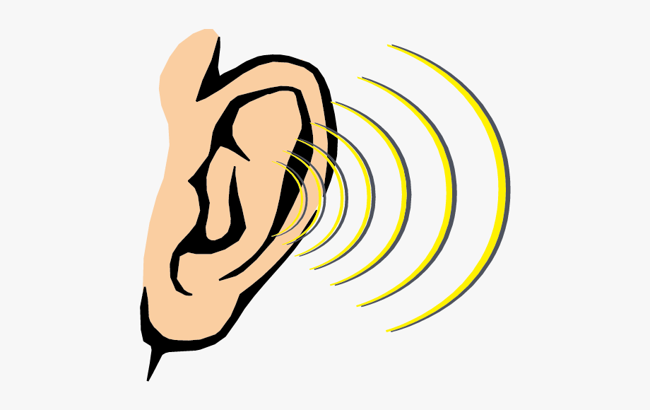 hearing clipart sense hearing