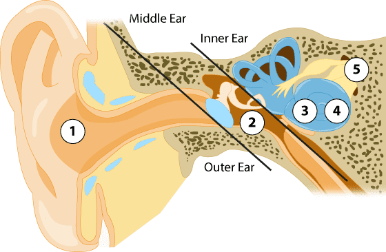 hearing clipart vibration