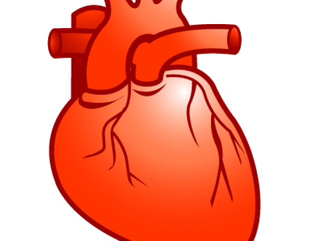 heart clipart cartoon