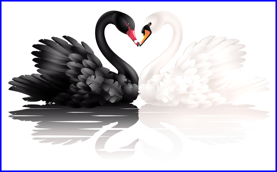 heart clipart swan