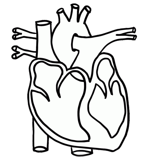 hearts clipart human