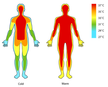 Heat clipart body heat. Free download clip art