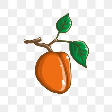 Heat clipart decoration.  summer fruit apricot