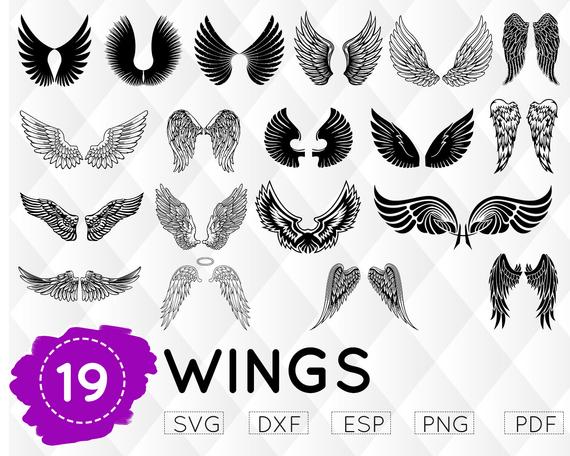 Wing clipart svg. Wings angel vector 