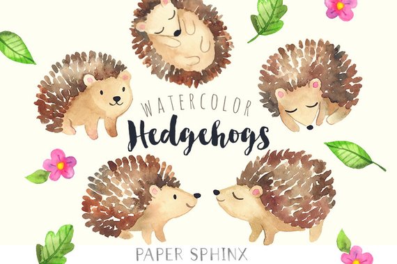 Hedgehog clipart. Watercolor hedgehogs baby forest