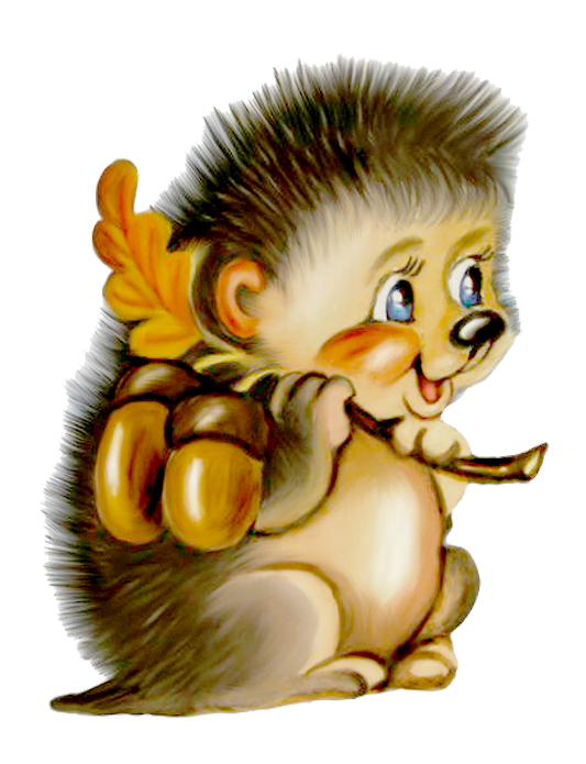 hedgehog clipart baby hedgehog