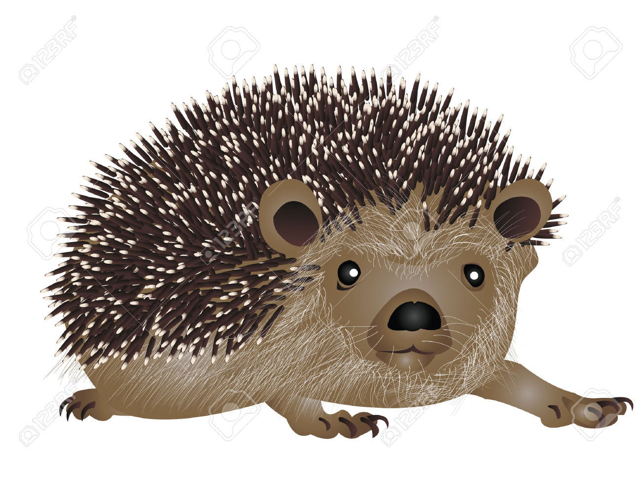 Hedgehog clipart comic. Fans clipartpost 