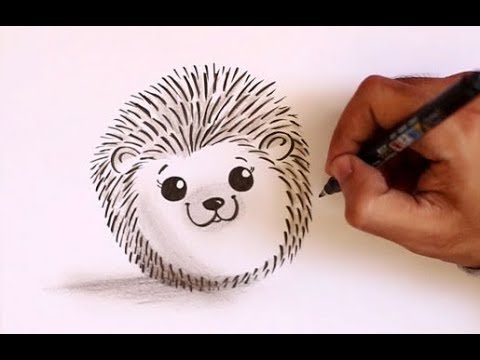 hedgehog clipart easy cartoon