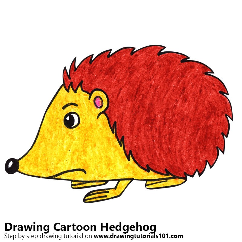 hedgehog clipart easy cartoon
