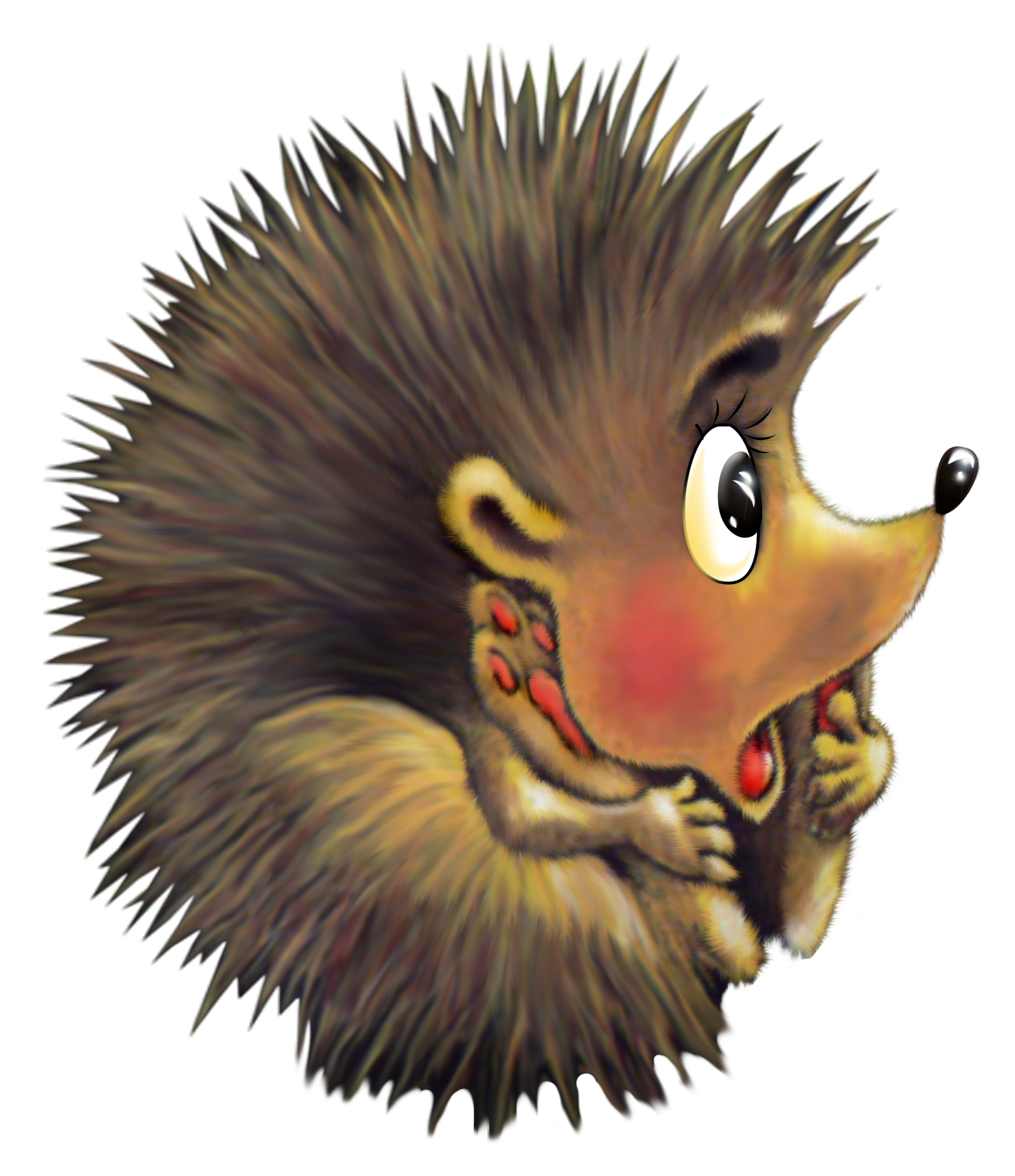 hedgehog clipart porcupine