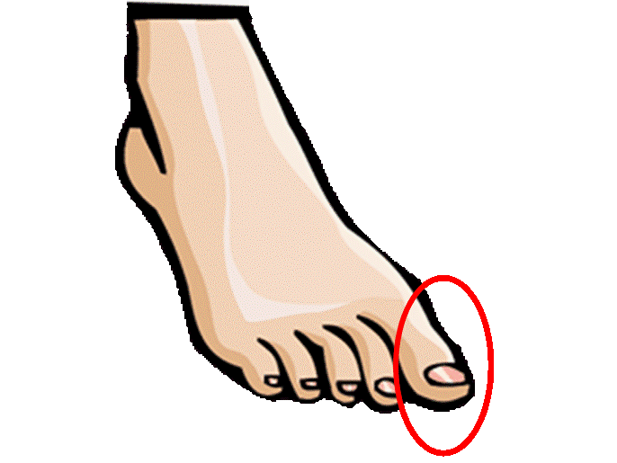 heels clipart body part