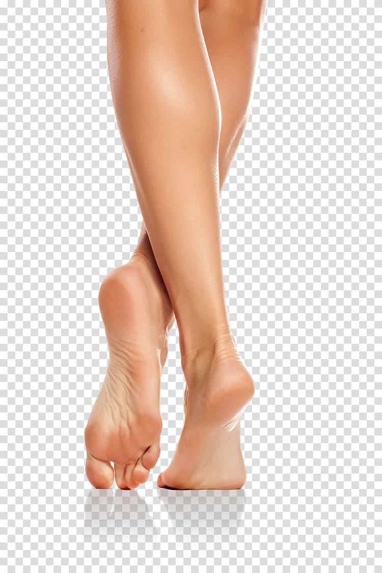 heels clipart leg muscle