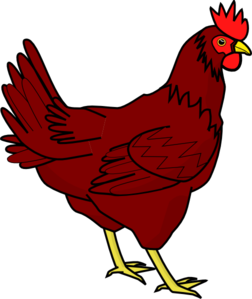 chicken clipart vector