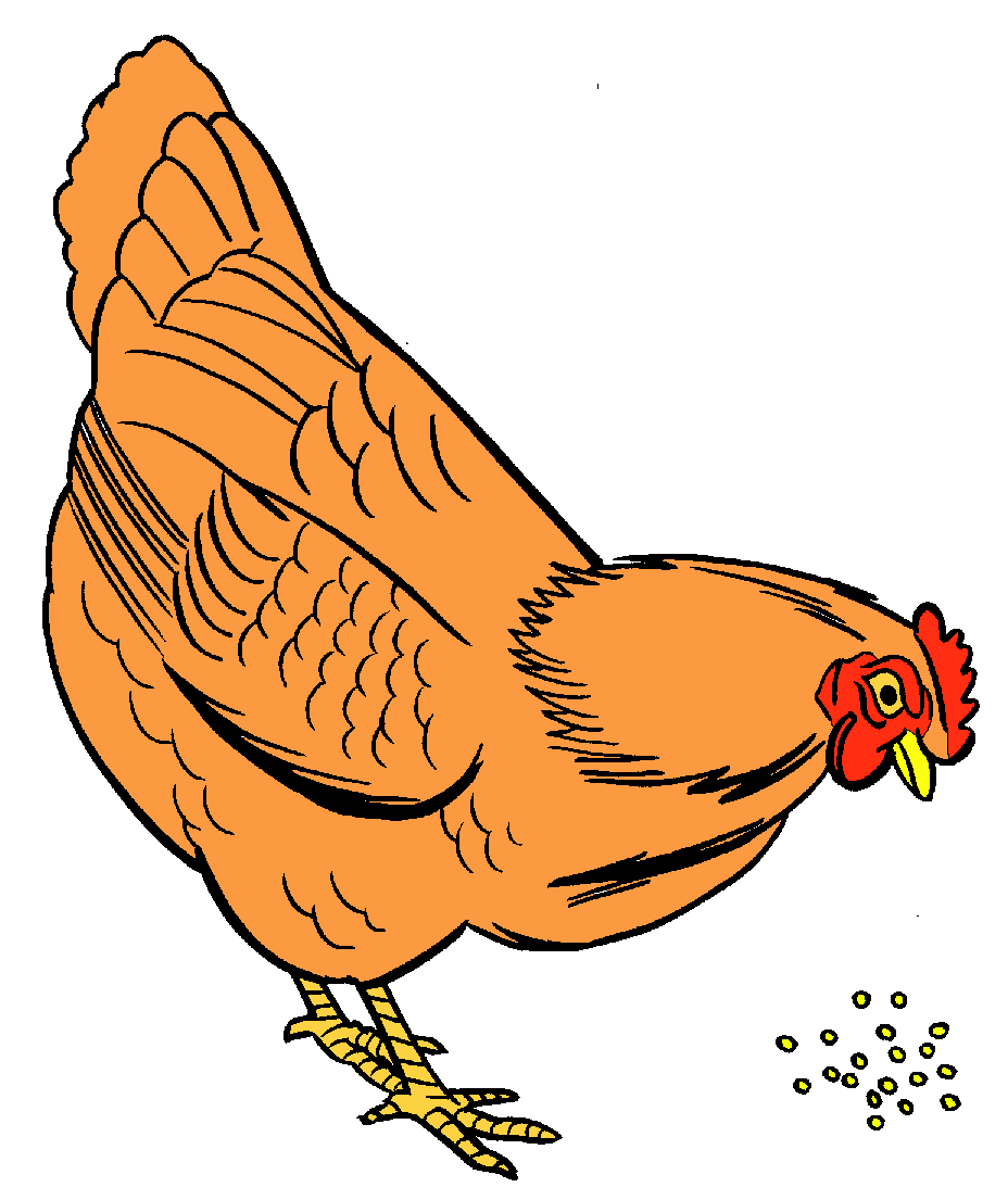 clipart chicken eating