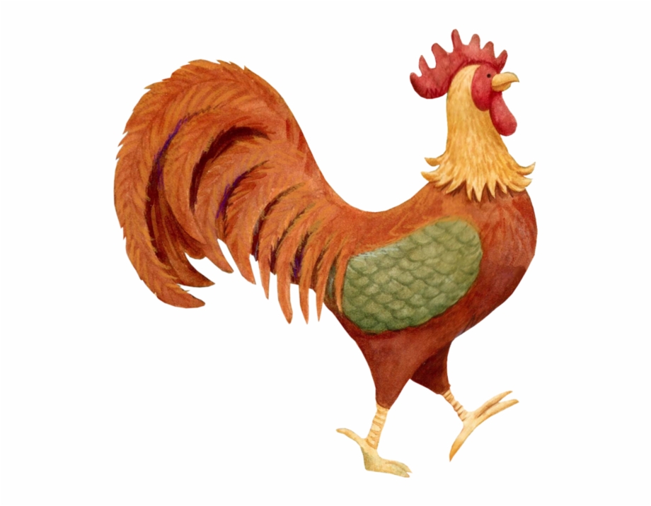 Hen clipart 2 french. Poule png free images