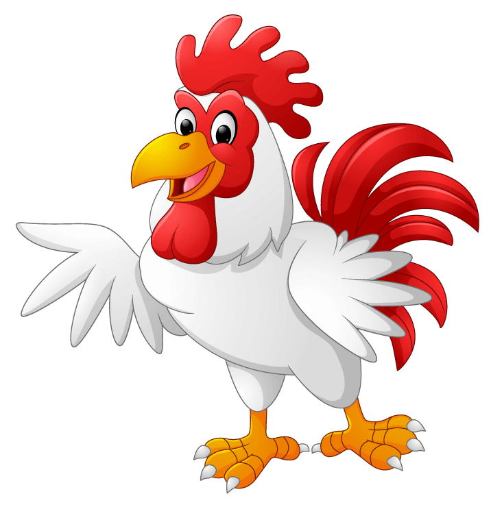 Morning rooster cartoon