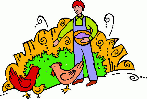 hen clipart chicken feed